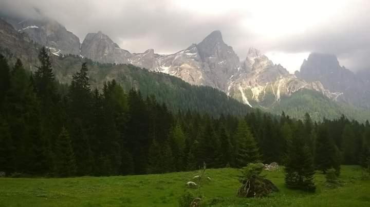 Hotel Garni Suisse San Martino Di Castrozza Εξωτερικό φωτογραφία