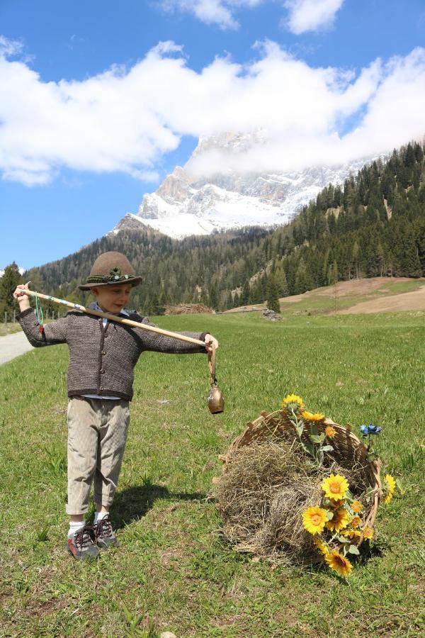 Hotel Garni Suisse San Martino Di Castrozza Εξωτερικό φωτογραφία