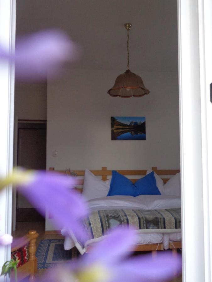 Hotel Garni Suisse San Martino Di Castrozza Εξωτερικό φωτογραφία