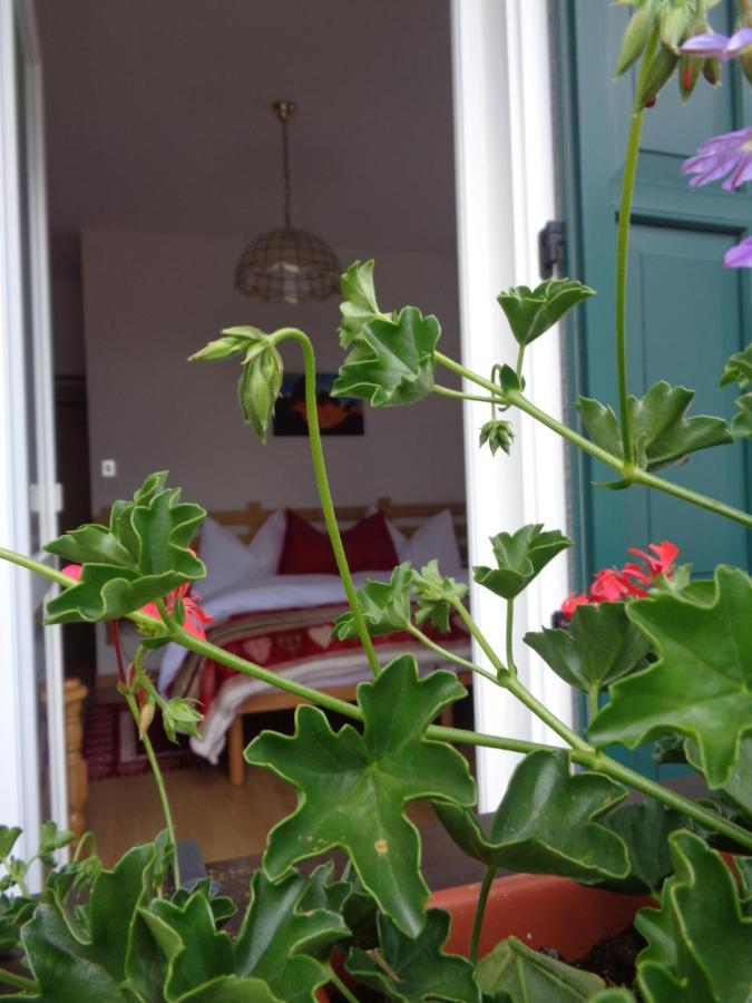 Hotel Garni Suisse San Martino Di Castrozza Εξωτερικό φωτογραφία